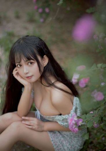 茶花姑娘电影免费观看