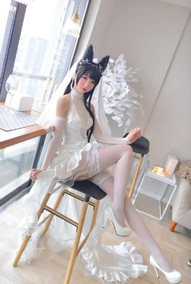 完美奴仆