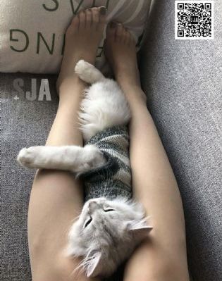 美女露出让男生揉的电影