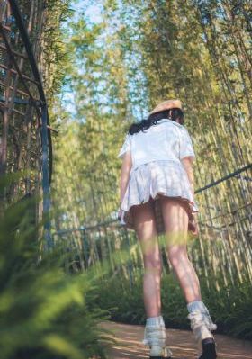 电视剧南来北往免费观看全集播放